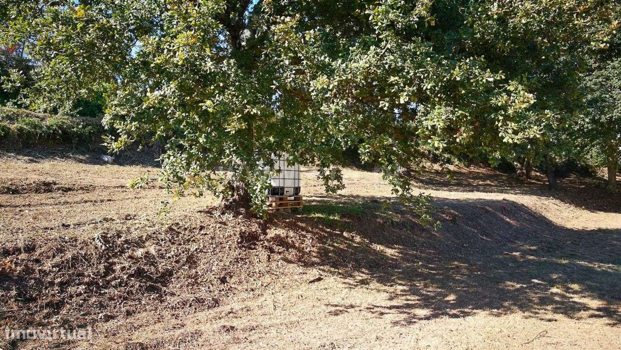 Terreno - Grande imagem: 5/10