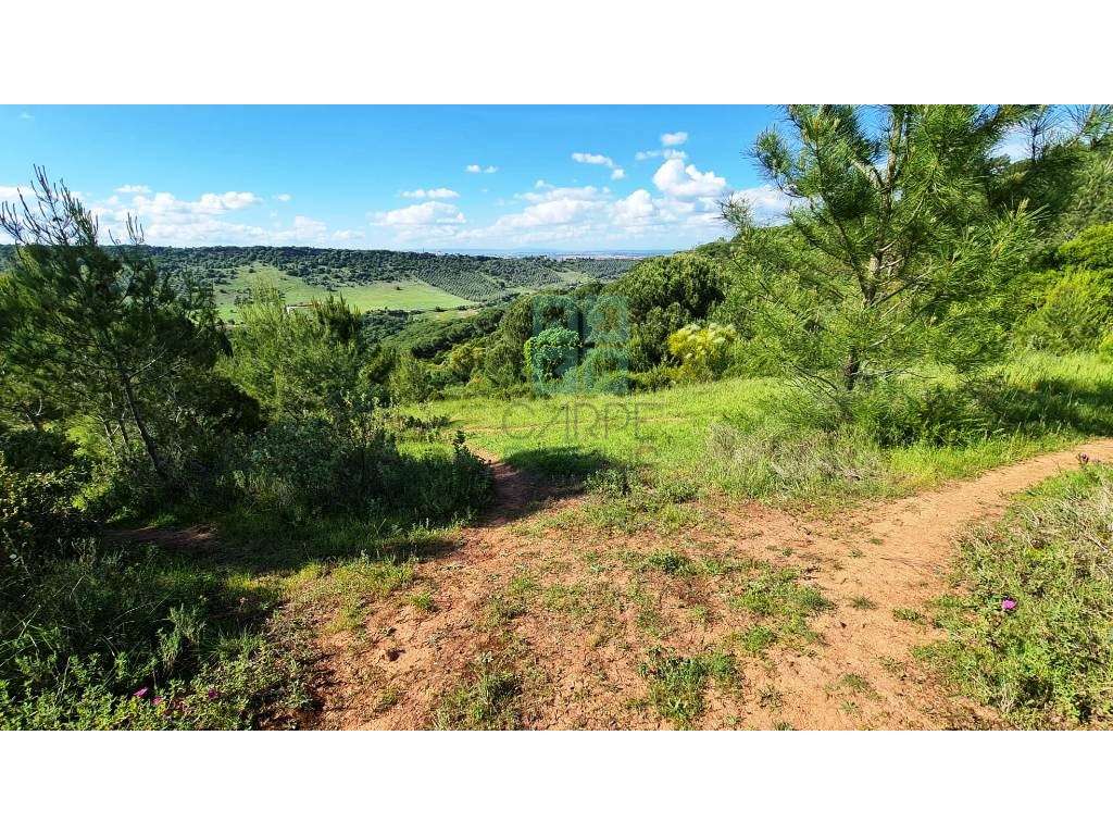Quinta com 435.487 m2 na Serra da Arrábida, em Palmela, Setúbal-29