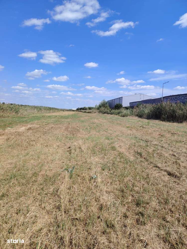 Teren intravilan industrial – Tomești, zona Contom - Imagine principală: 4/5