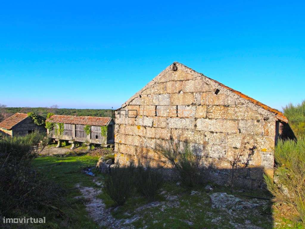 Terreno de 84 hectares-23