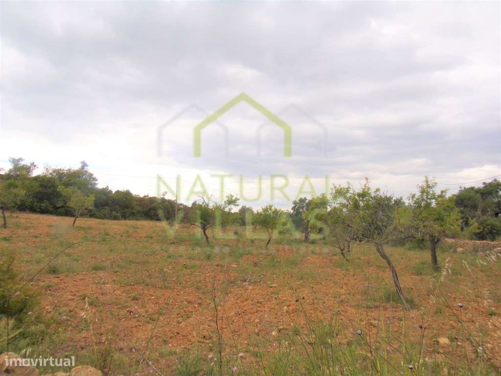 Terreno Rústico com Magníficas Vistas em Caliços, Conceição de Faro... - Grande imagem: 3/4