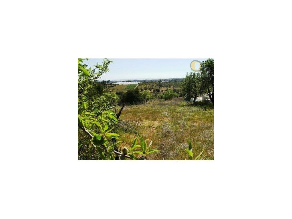 Terreno rústico com 4160 m2 em Moncarapacho - Grande imagem: 1/3