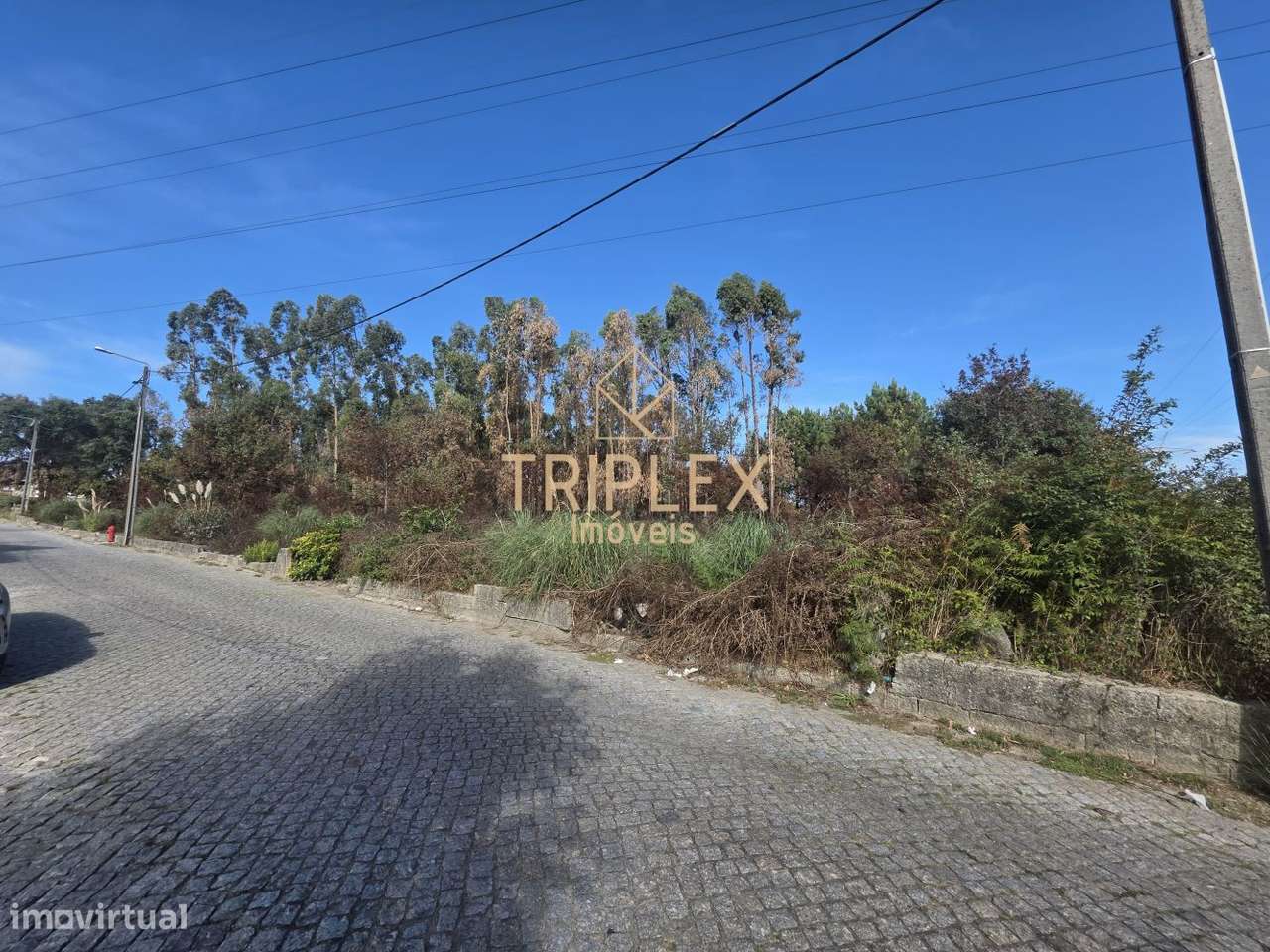 Terreno com viabilidade de construção-5