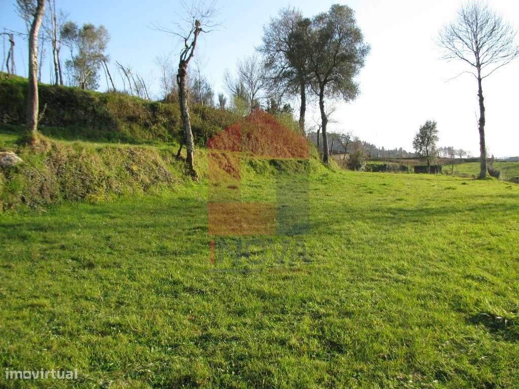 Terreno agrícola, Aboim da Nóbrega - Grande imagem: 5/17