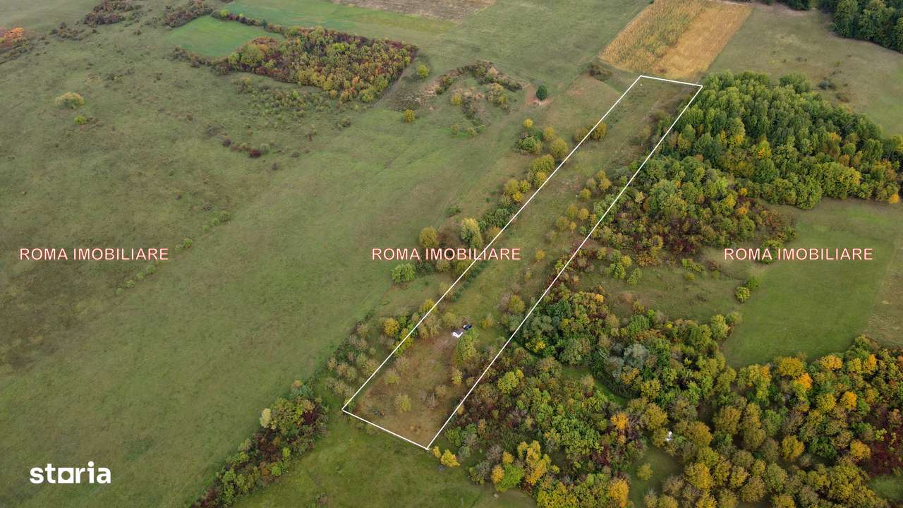 Berchez teren extravilan de vanzare - Imagine principală: 2/7