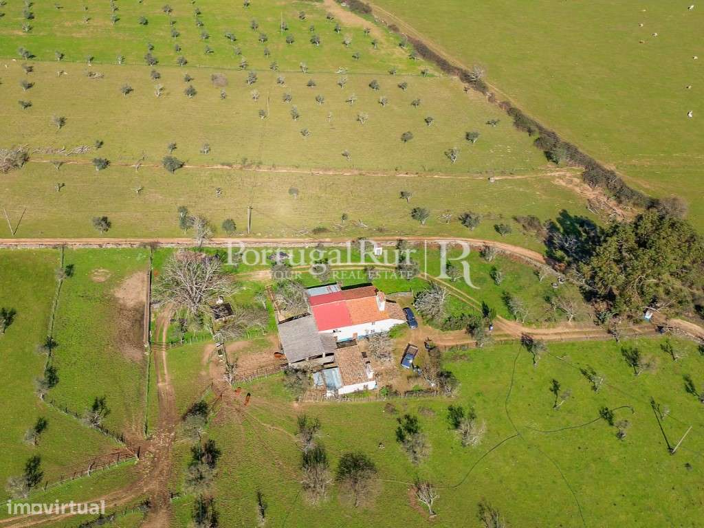 Quinta de 9 hectares em Marvão - Grande imagem: 5/60