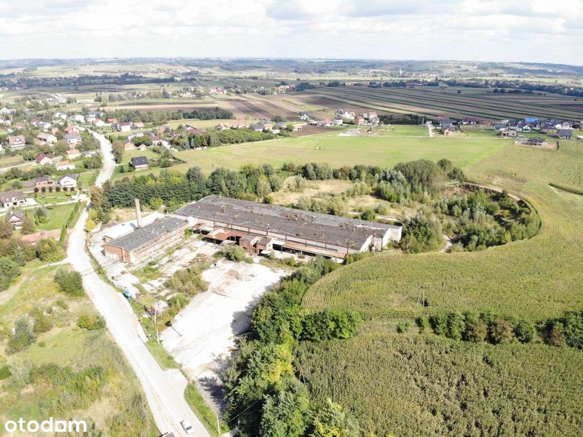 Działka, 93 400 m², Odonów - Pełny obrazek: 4/17