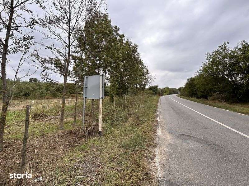 Teren de Vanzare - Imagine principală: 4/6