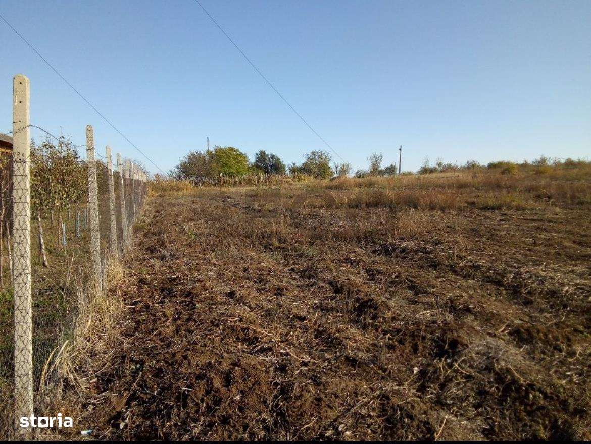 RECO , teren intravilan, Emil Isac, dealuri Oradea - Imagine principală: 2/4