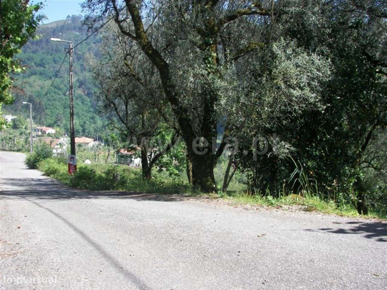 Terreno para construção com 490 m2 em Vila Cova - Grande imagem: 3/12