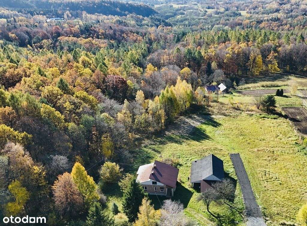 Dom Z Potencjałem Na Dużej Działce-4