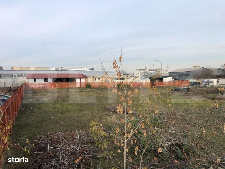 Teren intravilan de 2.195 mp, toate utilitatile, Valea Rosie - Imagine principală: 5/6
