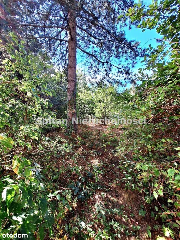 2 pokoje, ogródek, balkon, super lokalizacja!-11