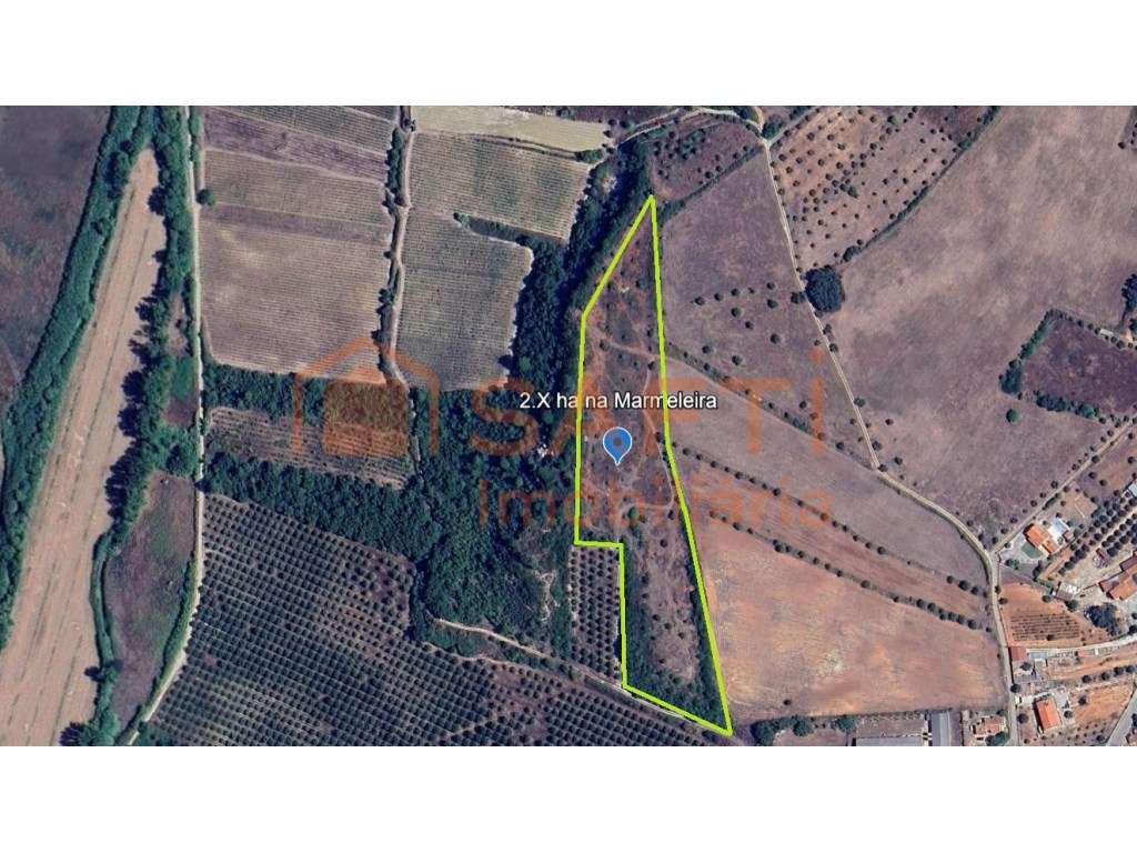 Terreno junto à Vila da Marmeleira- Rio Maior. - Grande imagem: 2/3