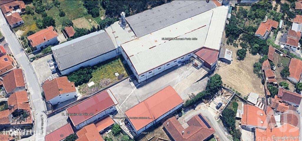 Loja / Estabelecimento Comercial em Juncal de 2024,00 m2 - Grande imagem: 4/4