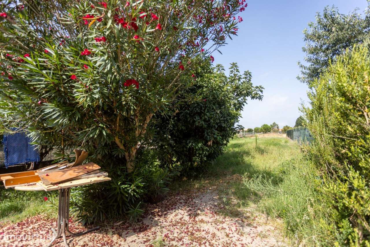 Moradia T3 em Marinhais - Salvaterra de Magos - Grande imagem: 5/25