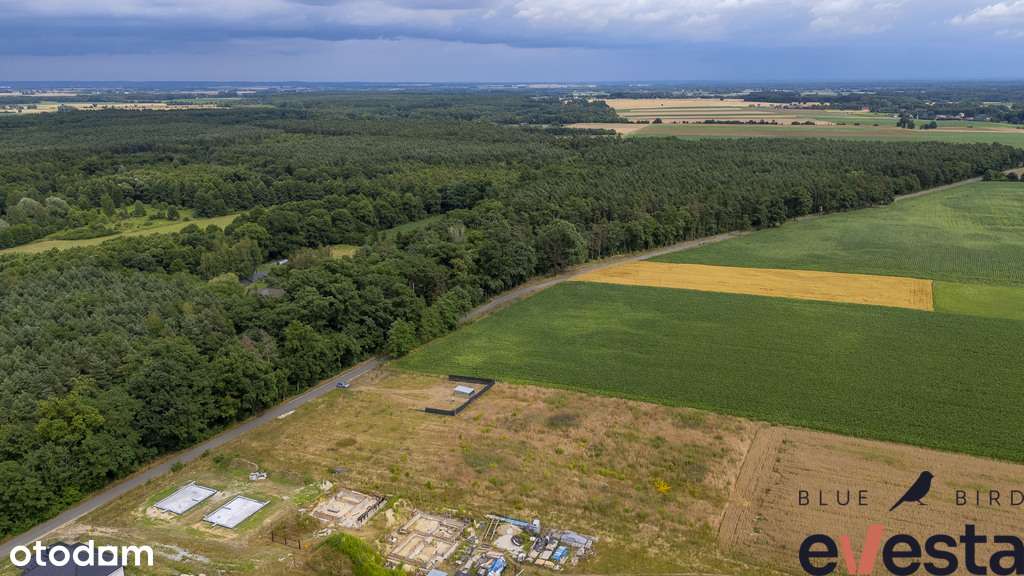 Działka budowlana z pozwoleniem na budowę | Raków - Pełny obrazek: 5/12