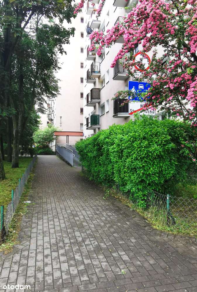 3 pokoje, Broniewskiego 91-11