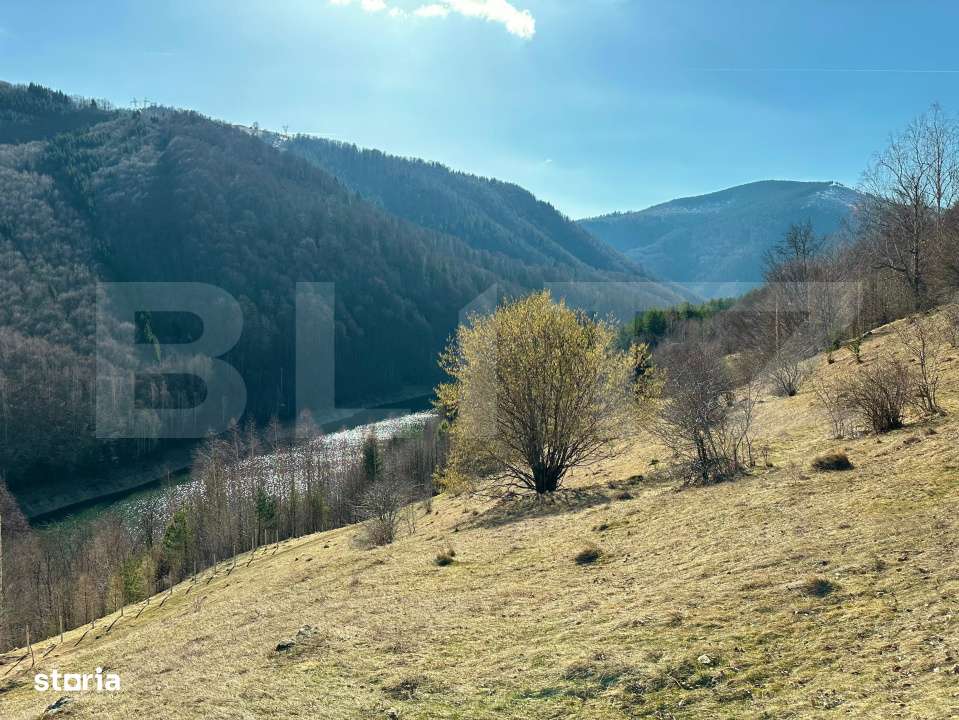 Teren 14 ha compact langa Lacul Tau Bistra - Imagine principală: 1/7