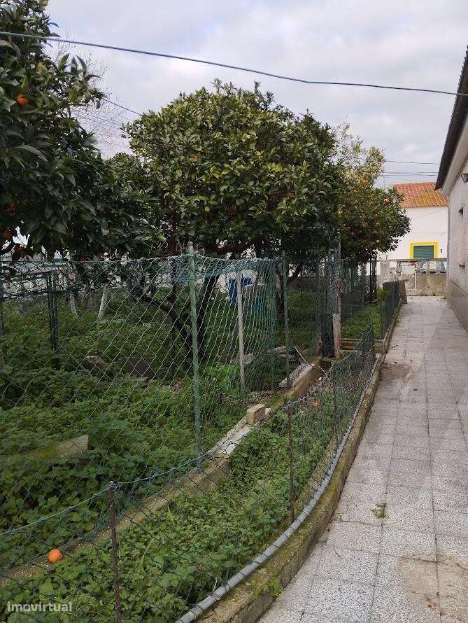 Moradia T3 no Chão Duro, Moita-48