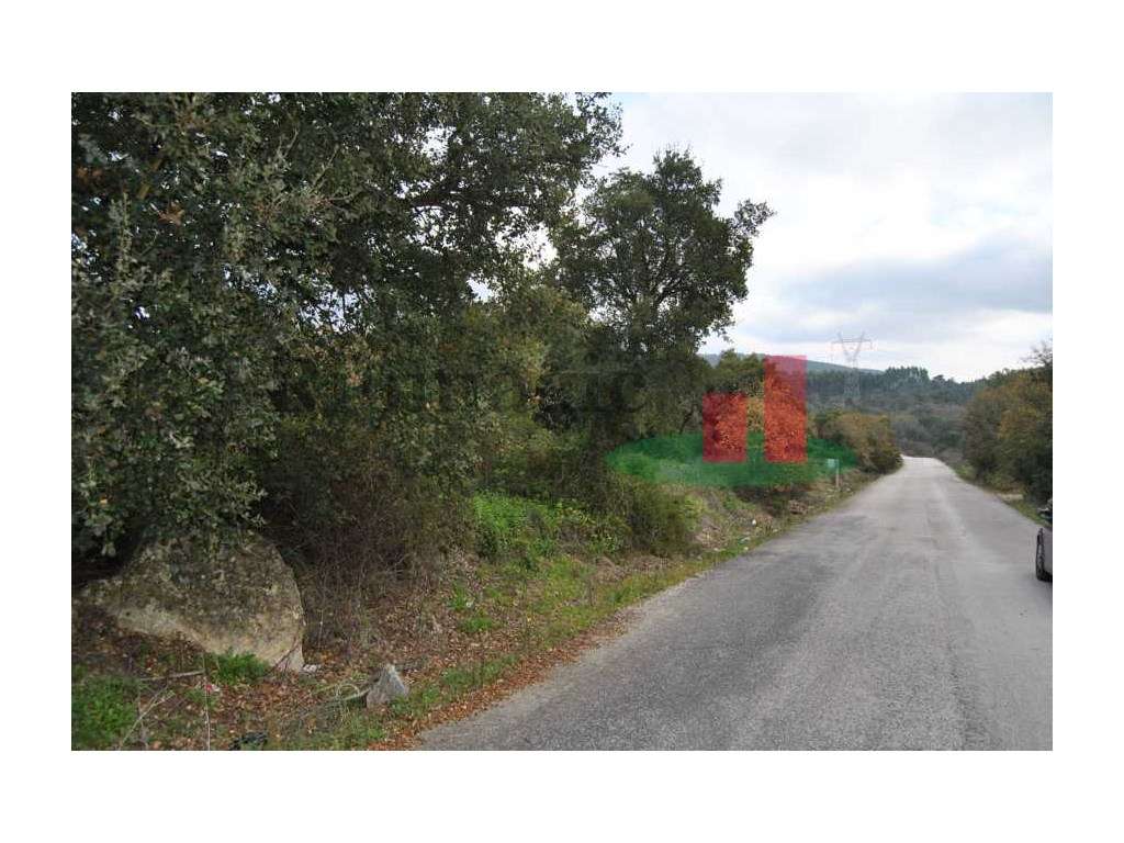 Terreno - Mata de Baixo***RIOMAGIC*** - Grande imagem: 3/25