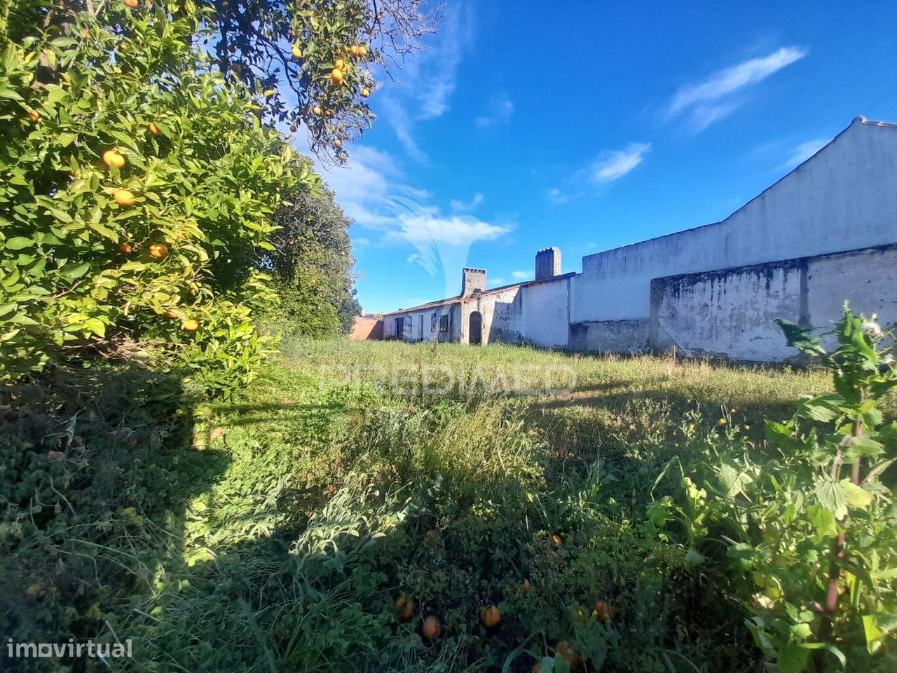 LOTE URBANO - Grande imagem: 5/17