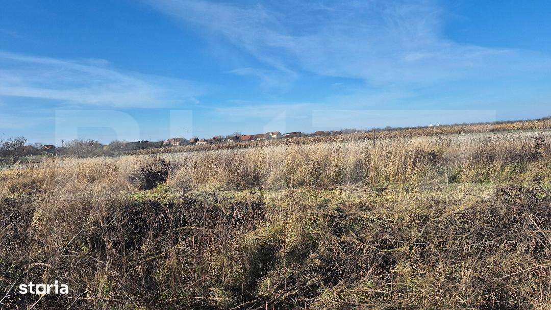 Teren intravilan de vanzare, 1000 mp, in Odoreu - Imagine principală: 2/2