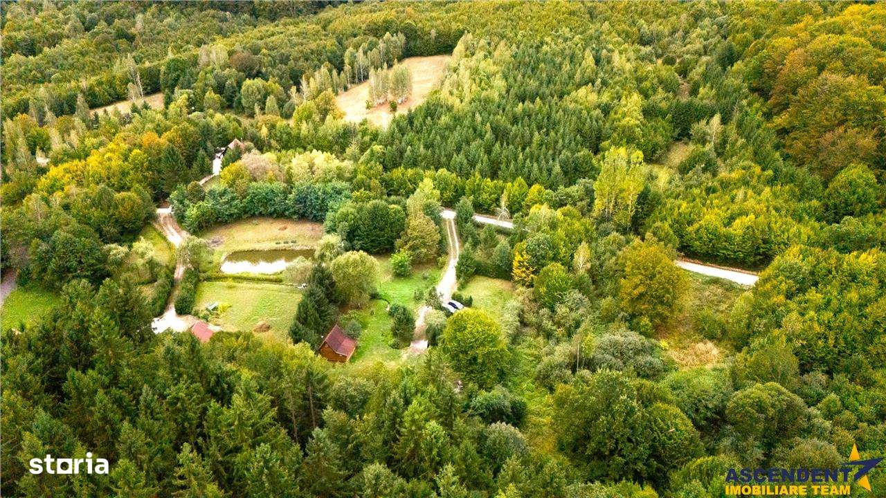 Tur 3D!Cabana de vacanta,zonare valoroasa, cu teren de 2.100 mp,Vladen - Imagine principală: 5/20