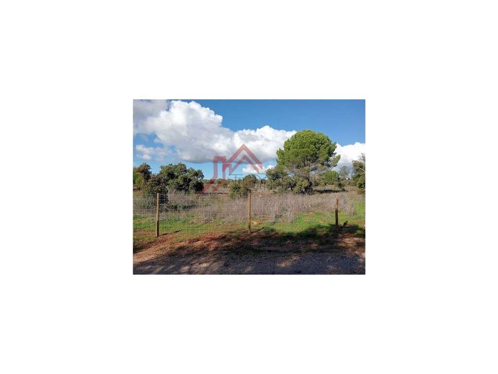 Terreno Rústico - 25.000 m² em Lagos, com Ligações, Acessos e Local...-6