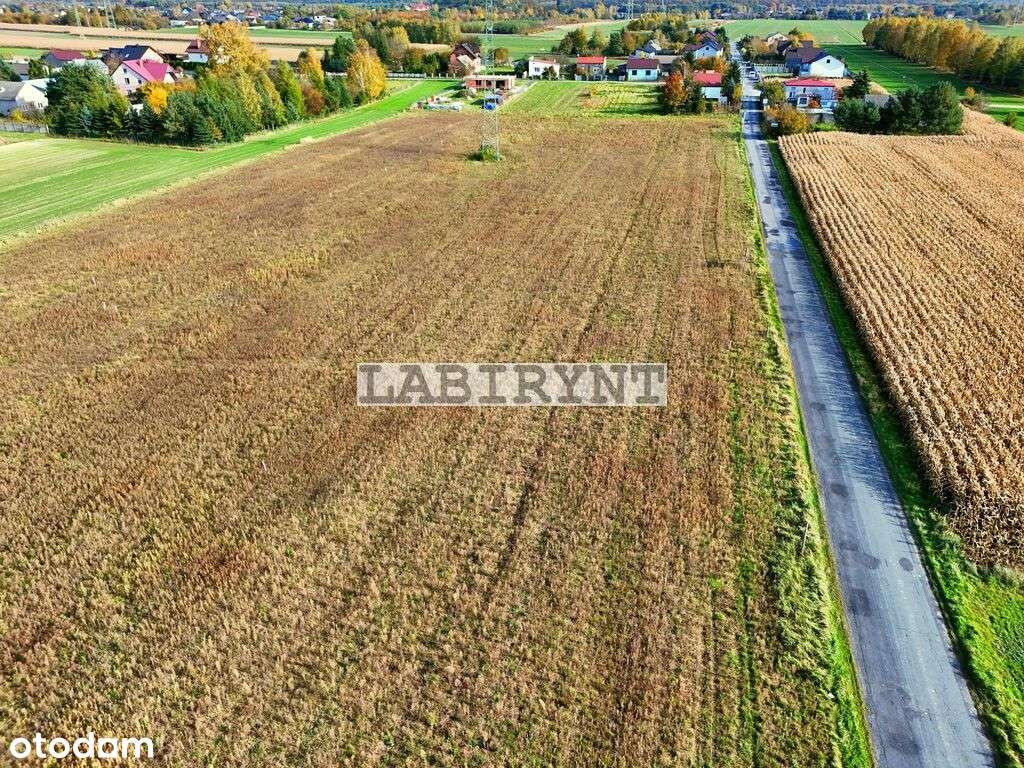 Rzerzęczyce, budowlana 541m2, cena brutto z VAT!!!-8
