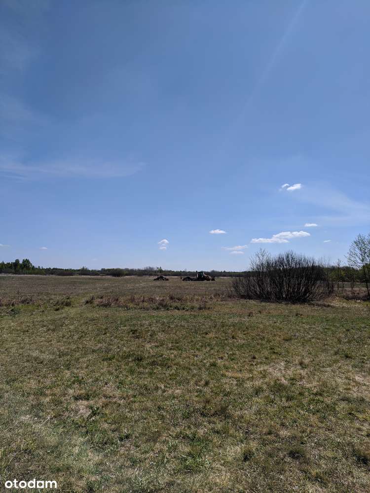 Dzialka z rozpoczętą budową na terenie Kampinowskiego Parku Narodowego - Pełny obrazek: 5/6