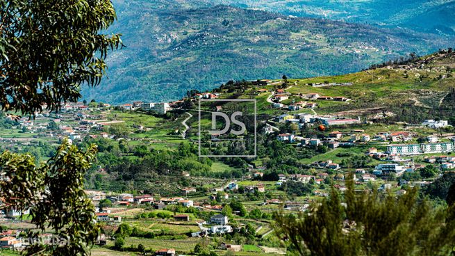 Quinta de sonho em Baião, Grilo.-2