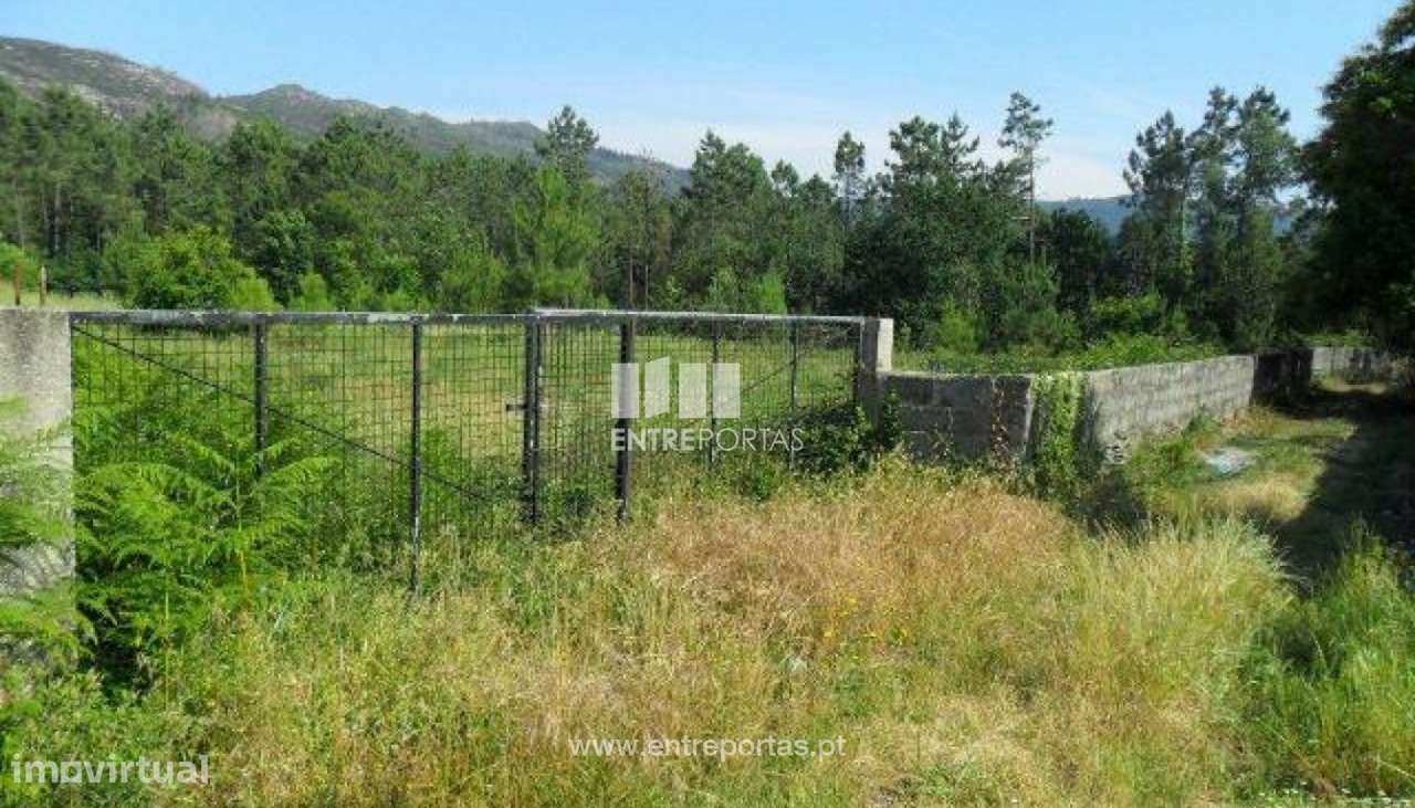 Terreno Sta Maria Geraz Lima - Grande imagem: 5/6