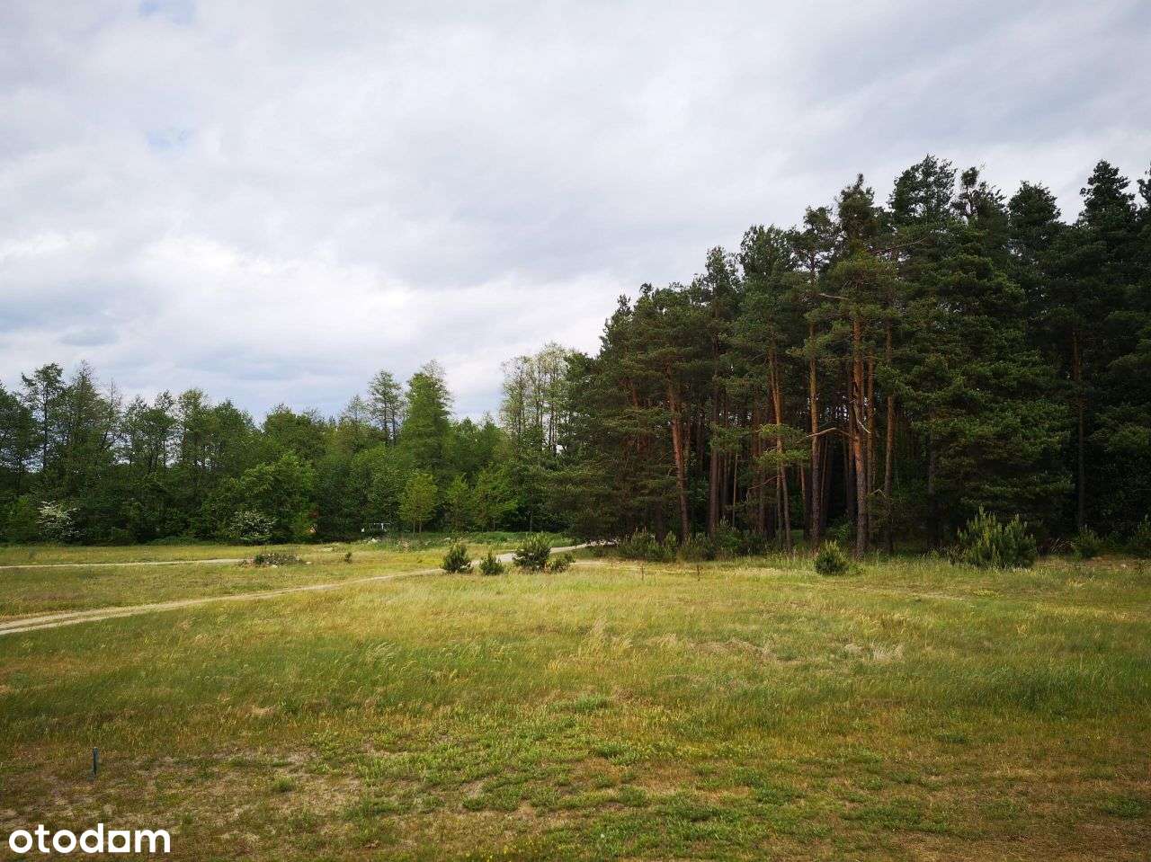 Działka budowlana 4281m2, Płazów - Roztocze - Pełny obrazek: 5/11