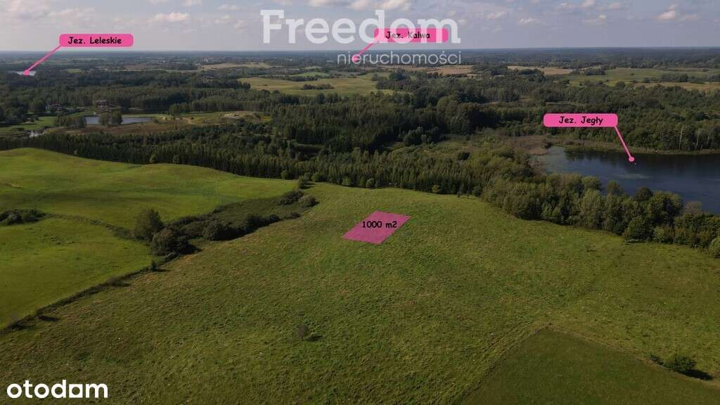 Działki na Mazurach – Elganowo, gm. Pasym, 10 ar - Pełny obrazek: 2/20