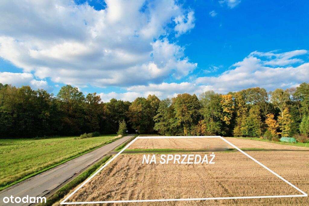 Pierściec , na sprzedaż działki w uroczym zakątku - Pełny obrazek: 3/12