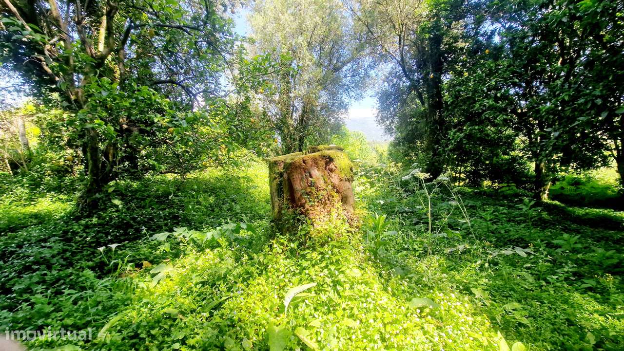 Quinta Valdreu-Vila Verde-43