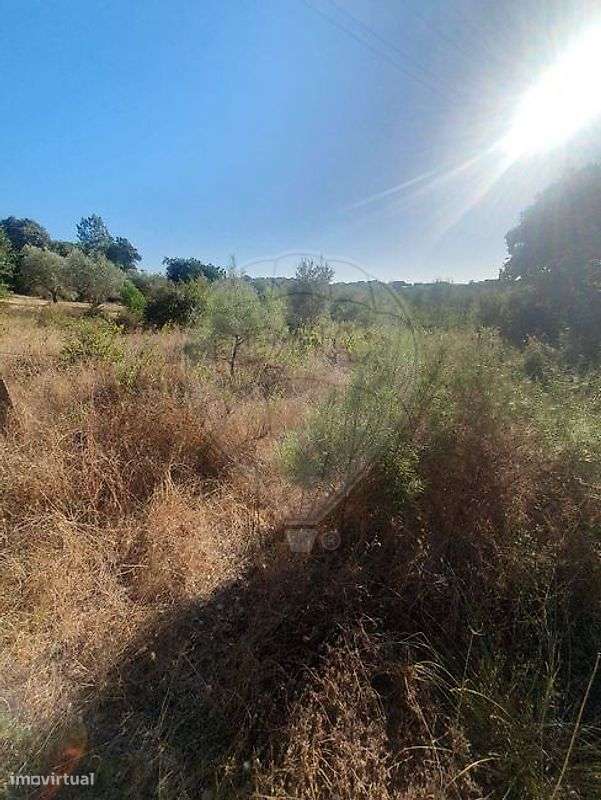 Terreno  para venda - Grande imagem: 5/16