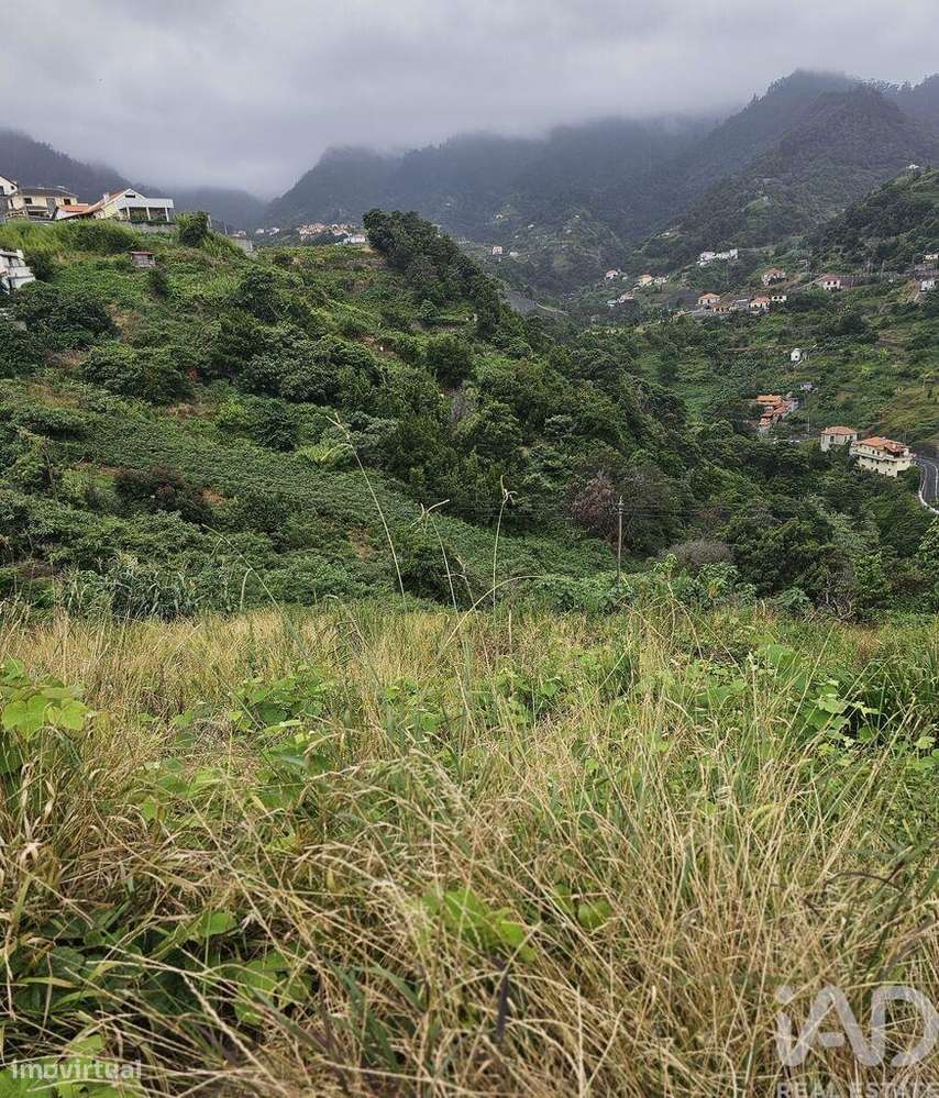 Terreno em Porto da Cruz de 870,00 m2 - Grande imagem: 5/7