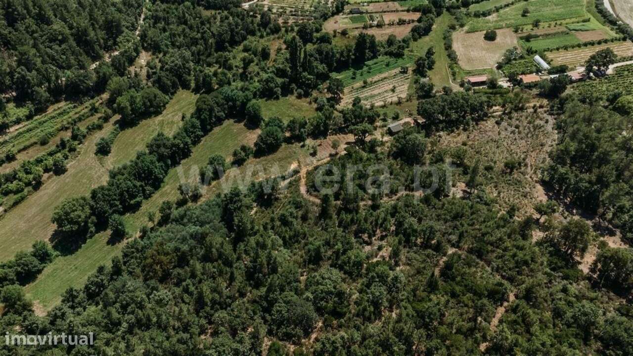 Terreno Rústico / Fundão, Fatela-7