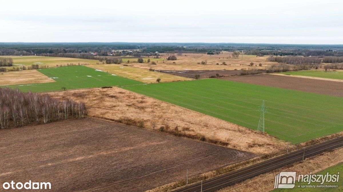 Dzisna - działka inwestycyjna - Pełny obrazek: 5/8