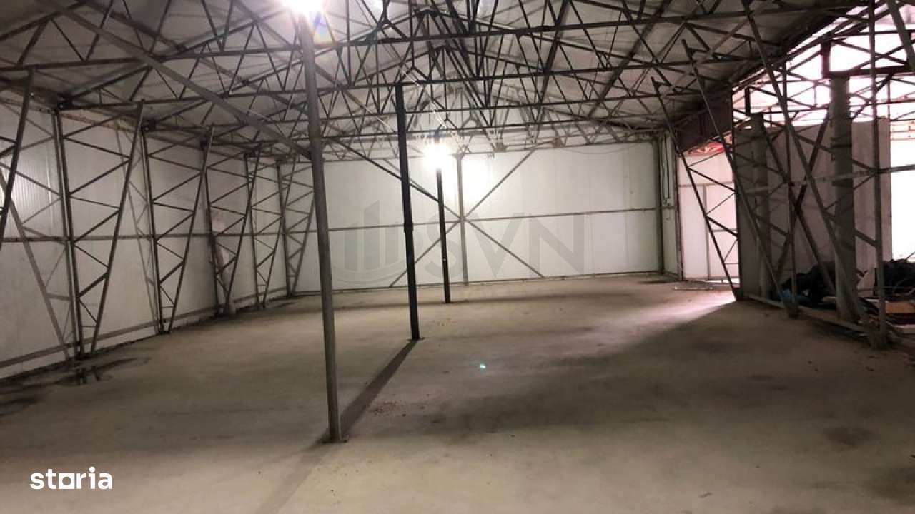 Teren cu doua hale industriale Chitila - Imagine principală: 3/6