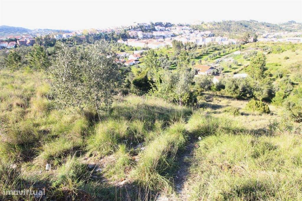 Venda Terreno - Grande imagem: 3/4