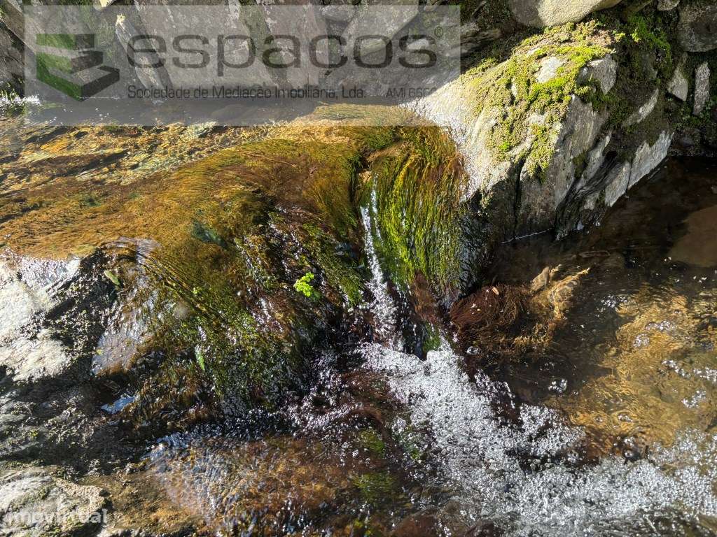 Quintinha-29