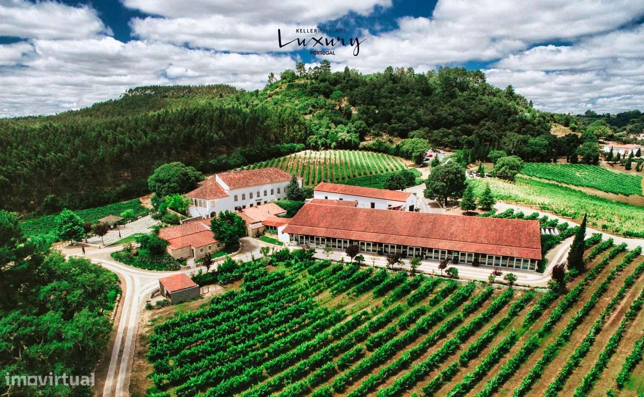 Quinta de Exceção em Ourém – 69 Hectares | Casa Senhorial do Séc. XVII - Grande imagem: 2/60