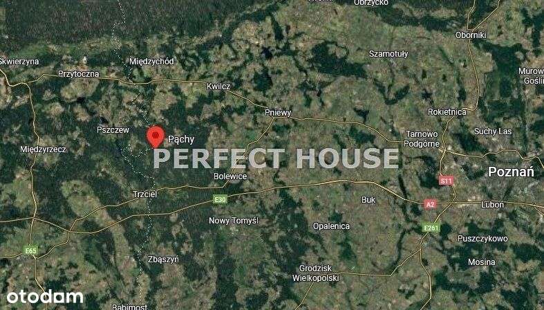 Przy Lesie z Mpzp tylko 1h jazdy od Poznania! - Pełny obrazek: 5/5