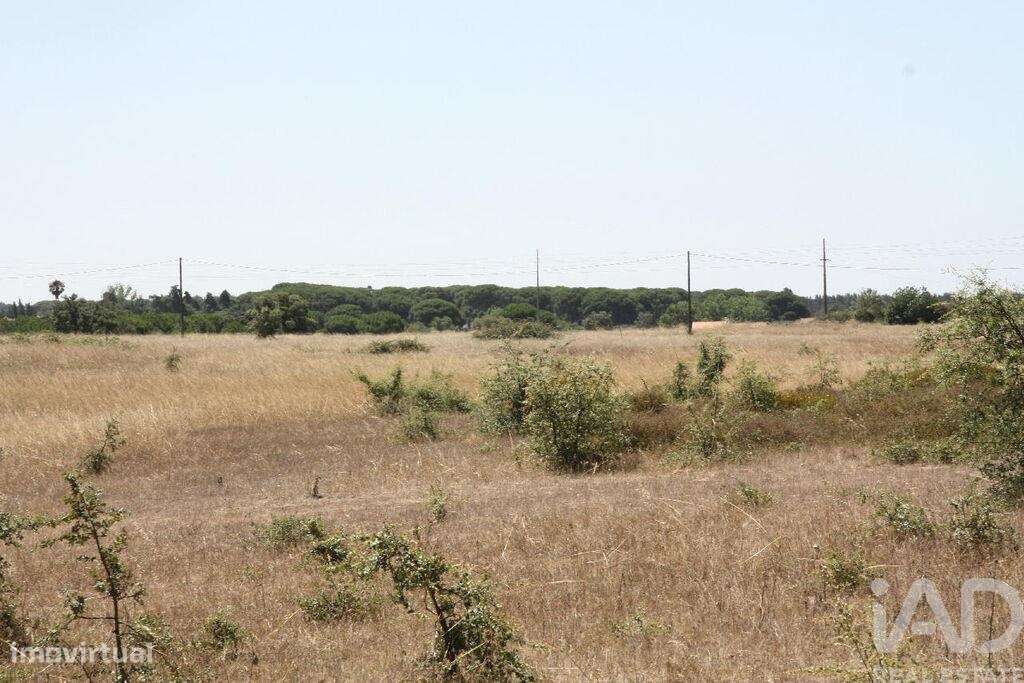 Terreno para construção T5 em Pegões de 2662,00 m2 - Grande imagem: 4/30