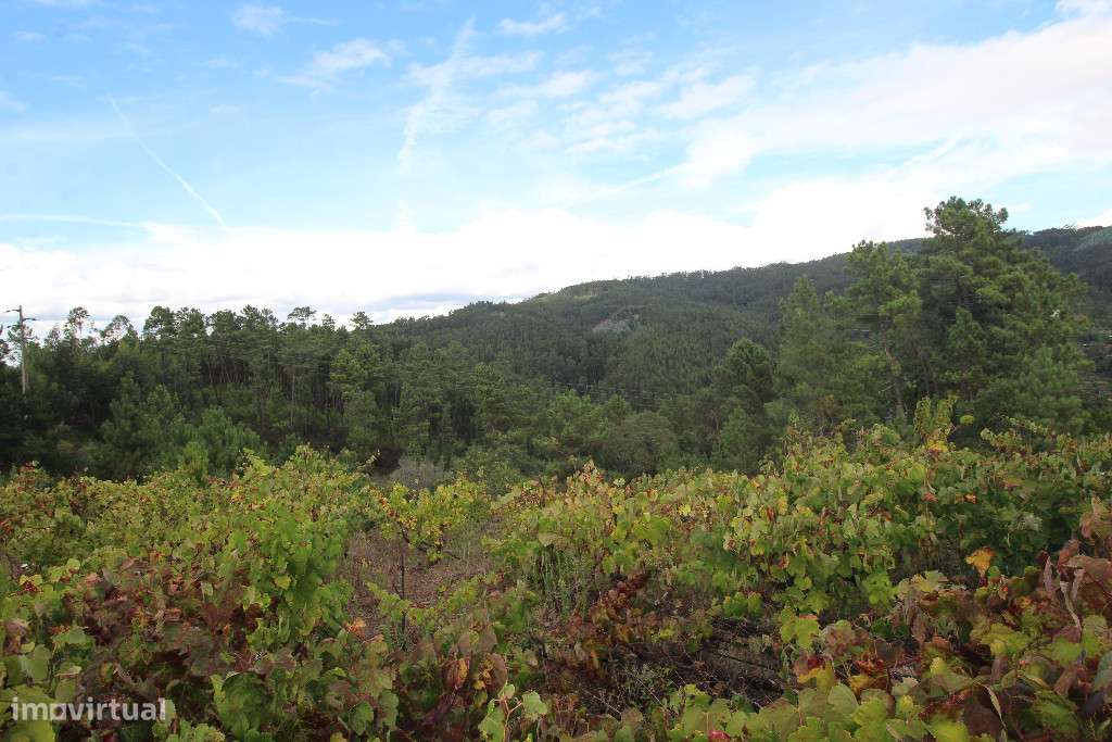 Terreno para Construção, Almalaguês, Coimbra - Grande imagem: 3/4