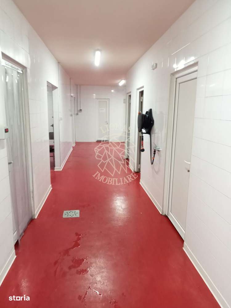 Afacere la cheie-Carmangerie cu utilaje-teren 10 ari-Galatii Bistritei - Imagine principală: 5/8