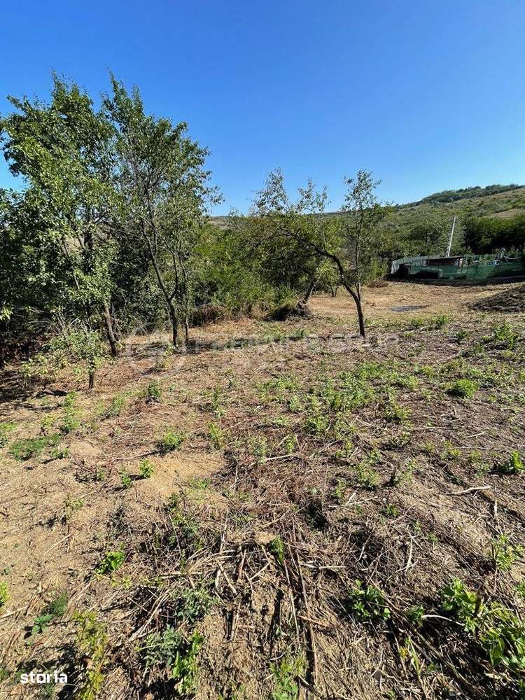 Teren intravilan, Aroneanu, 477mp - Imagine principală: 3/9